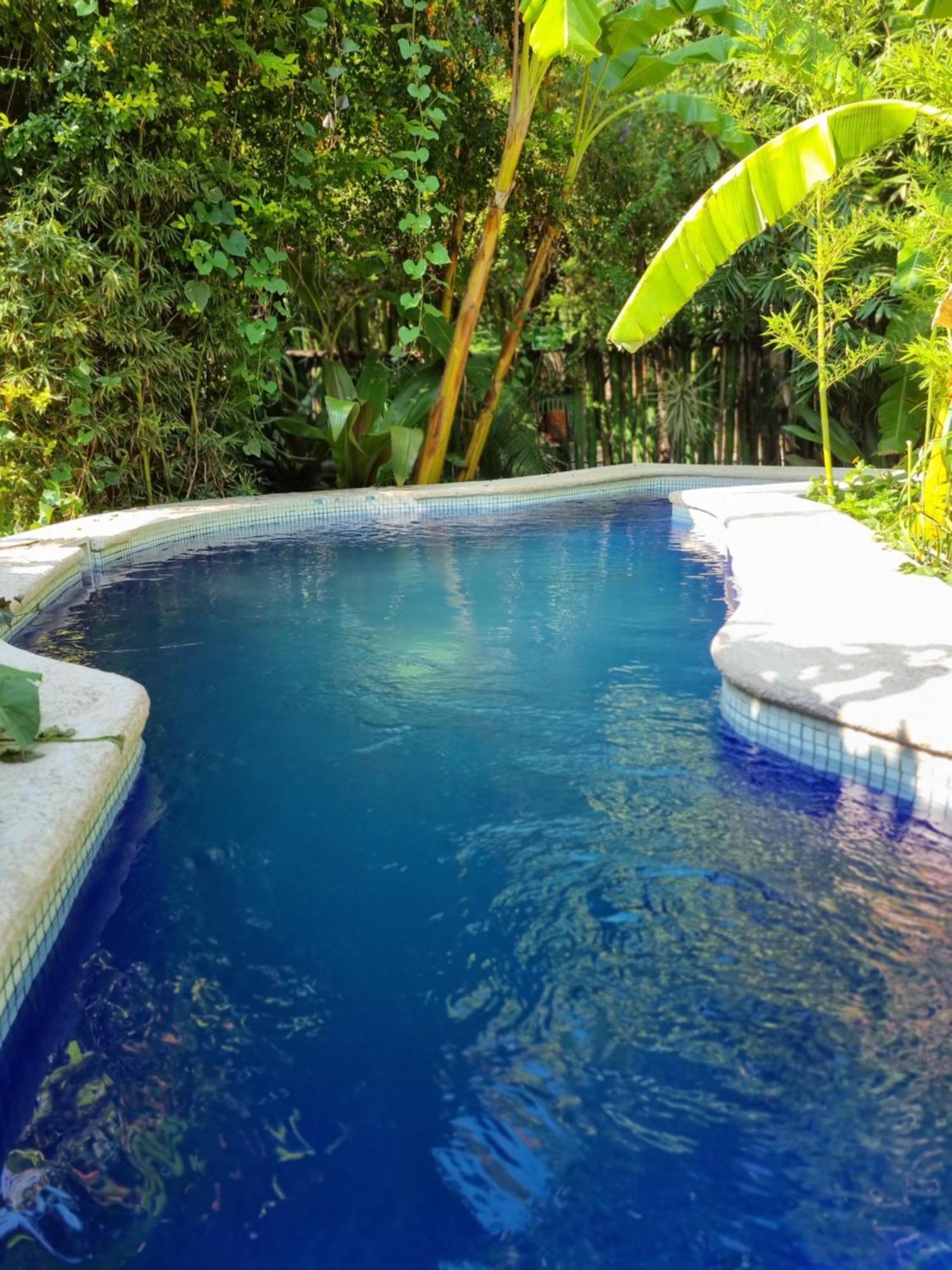 Eco Hotel Tahawi Ajijic Extérieur photo