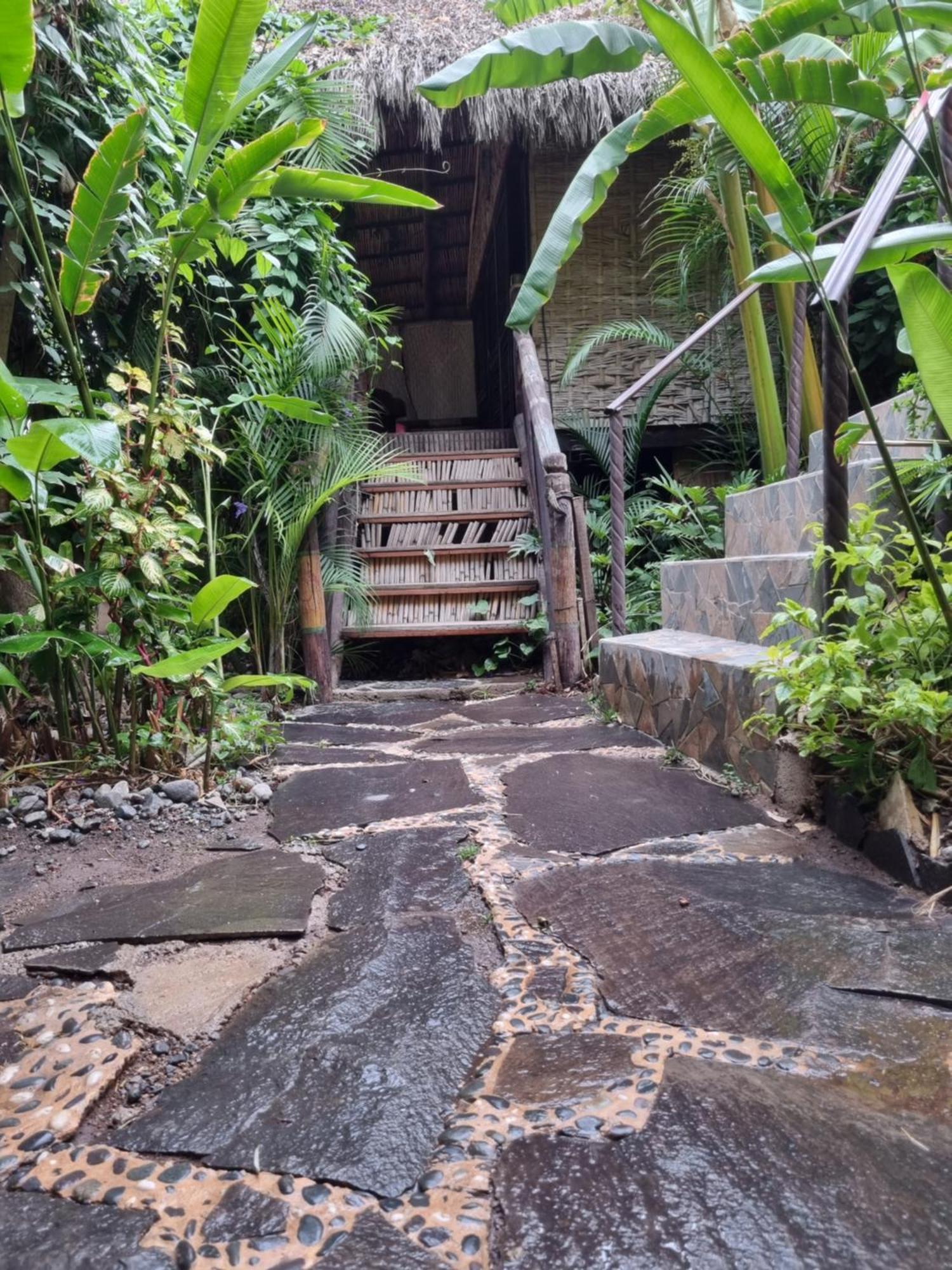 Eco Hotel Tahawi Ajijic Extérieur photo